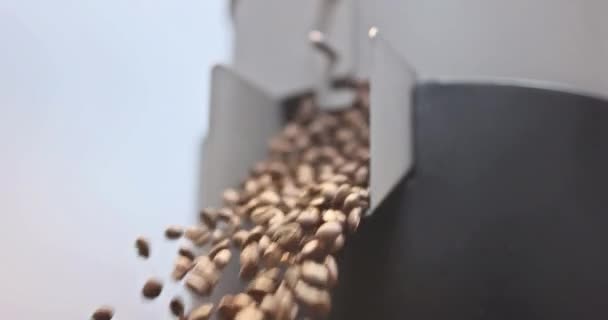Production Coffee Beans Roasting Factory Process Spills Roasted Coffee Beans — Stock Video