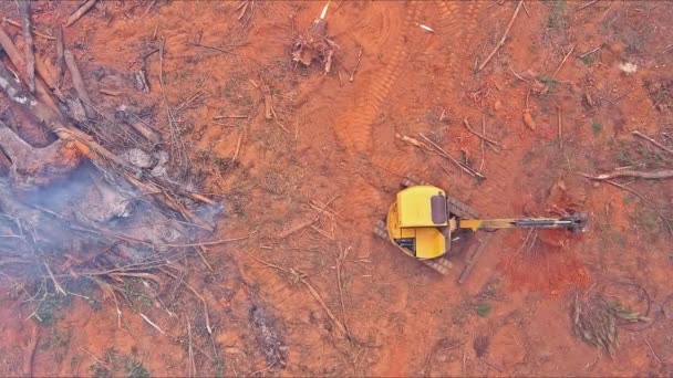 在准备建造房屋的过程中焚烧被连根拔起的树木导致了森林的损失 — 图库视频影像