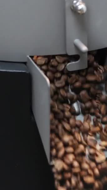 Mentre Chicchi Caffè Tostati Fuoriescono Dal Dispositivo Raffreddamento Della Falda — Video Stock