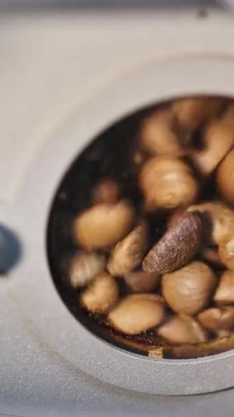 Nyers Kávébab Megtekintése Kávépörkölő Sütő Vezérlőablakán Keresztül — Stock videók
