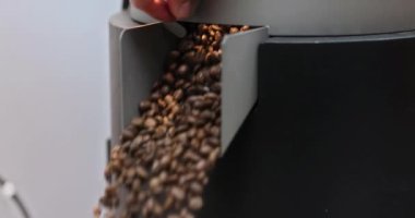 Kavrulmuş kahve çekirdekleri kahve fabrikasındaki kahve soğutucusundan dökülüyor..