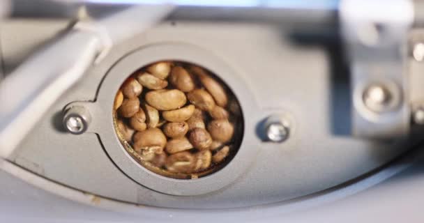 Παράθυρο Ελέγχου Του Φούρνου Ψησίματος Καφέ Σας Επιτρέπει Παρατηρήσετε Ωμά — Αρχείο Βίντεο