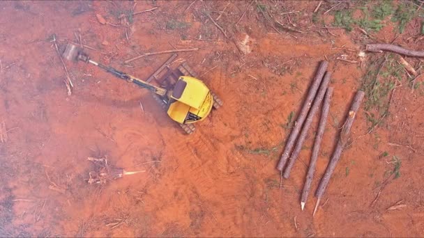 Stavitel Používá Traktor Vykořenění Stromů Lese Při Přípravě Stavby Domu — Stock video