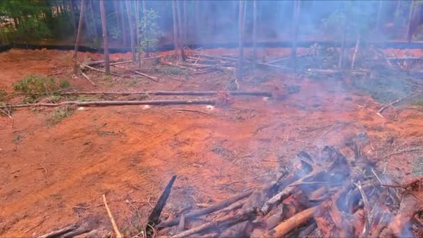 Během Pozemkové Přípravy Stavbu Domu Byly Vyvrácené Stromy Spáleny Lese — Stock video