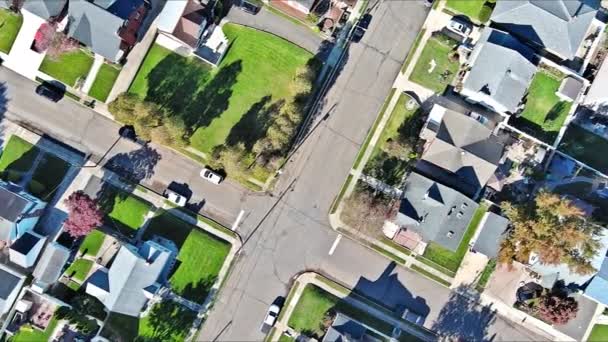 Tetőtéri Kilátás Házak Kis Amerikai Város Közösség Állam New Jersey — Stock videók