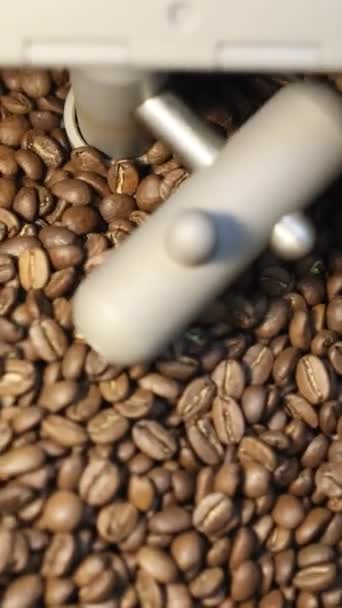 Pörkölt Kávébabot Speciális Lapátokban Hűtik Miután Vertikális Pörkölést Követően — Stock videók