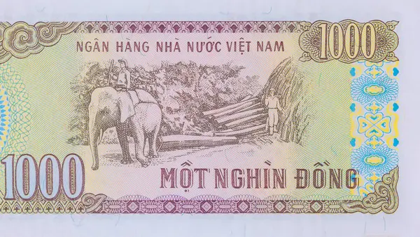 stock image There are denominations of one thousand Dong paper currency banknotes issued by Viet Nam National Bank rear view