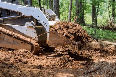 Ormanda, traktör toprak çalışması sırasında zemini düzleştirmek için kova kullanıyor.