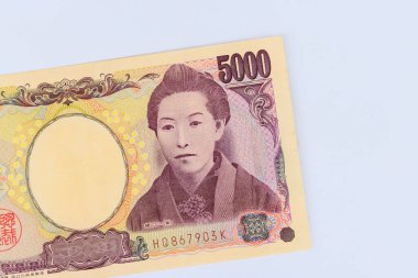 Nippon Ginko Japon Ulusal Bankası Japon para birimi yeninden 5000 yen değerinde banknotlar yayınladı.