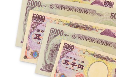 Japon Yen banknotu Japonya Ulusal Bankası 'na Japon Ginko Ginko' nun ekonomik sembolünü verdi