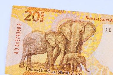 Güney Afrika ulusal bankasına ait banknotlar 20 rands 'lık banknotlar