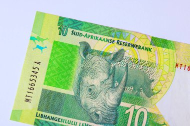 Güney Afrika döviz piyasaları ulusal banknotlar 10 rand banknotlar arka görünüm banknotlar