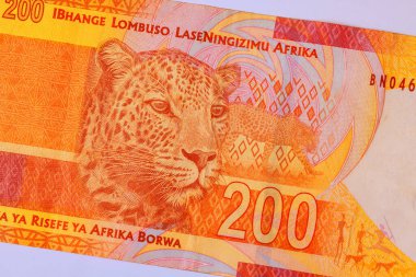 Güney Afrika ulusal bankası 200 rand nakit para banknotları dikiz görüntüsü yayınladı