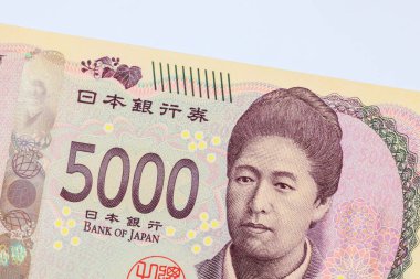 Nippon Ginko ulusal bankası tarafından 2024 yılında 5000 yenlik banknotla piyasaya sürülecek.