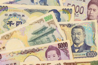 Japon banknotları nakit olarak Nippon Ginko Ulusal Bankası tarafından 2024 yılında verilmiştir.