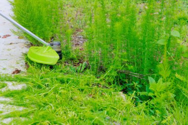 İşçi çimlerin üzerinde çim biçme makinesi ile çim biçiyor.