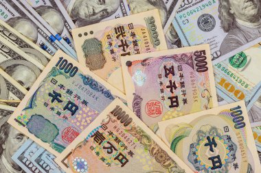 Eğer Japonya enflasyon geçiriyorsa, tasarruflarını Amerikan doları alarak harcamalılar.