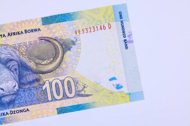 Güney Afrika Ulusal Bankası tarafından yayınlanan banknotlar serisi 100 rands nakit arka manzara