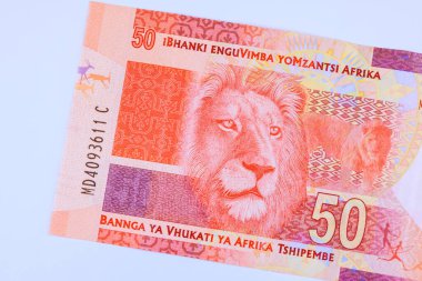 Güney Afrika 'nın ulusal banknotları 50 rands arka görünüm banknotlar sorunudur