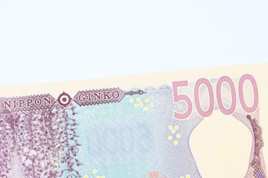 Japon Japon Nippon Ginko Ulusal Bankası 2024 'te 5000 yen nakit para basacak.