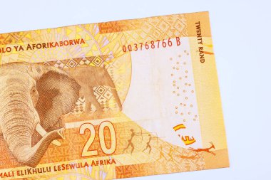 Güney Afrika ulusal bankası banknotları 20 rands arka görünüm banknotları