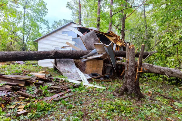 stock image Storm hurricane uprooted trees that fell on shed due to strong winds