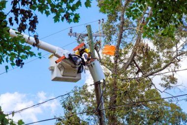 Şiddetli kasırga hasarı sonucu acil durum çalışanları elektriği geri getirmek için çalışıyorlar..
