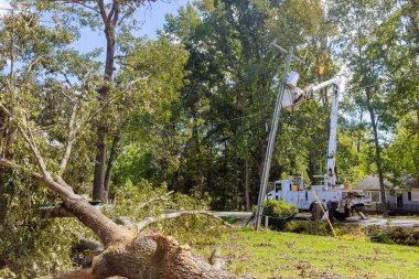 Kamyon kullanan acil servis hatları, kasırgalar yüzünden hasar gören elektrik hatlarını özenle onarıyor.