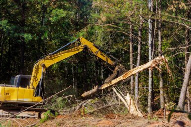 As part of preparation for building home trees are uprooted clipart