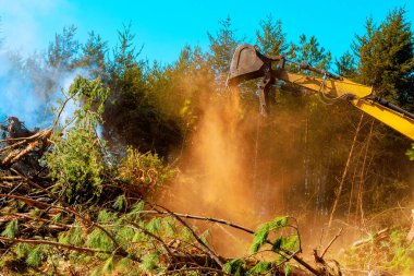 Primarily, land clearing for construction involves burning uprooted trees, leading to environmental concerns. clipart