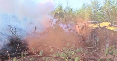 During construction of house uprooted forest was burned for construction of house to help build structure