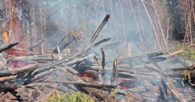 İnşaat alanında yeni evler inşa etmek için kökleri sökülmüş ormanı yakıyorlar.