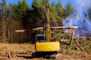 İnşaat alanı inşaatına hazırlanırken ağaçları kökünden sökmek için bir kazıcı kullanmak