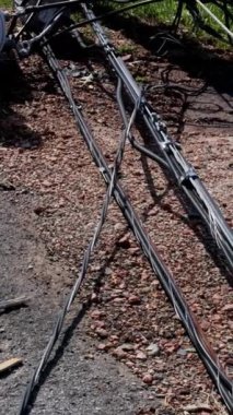 Güçlü kasırganın yol açtığı rüzgarlar elektrik direklerinin kopmasına ve kabloların kırılmasına yol açtı..