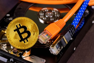 Altın renkli bitcoin sabit diskin üzerinde duruyor, Ethernet kabloları aracılığıyla engelleme zinciri kripto para birimine bağlı.