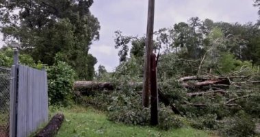 Kasırga sırasında düşen ağaçlar evlerin etrafındaki çitlere zarar verdi