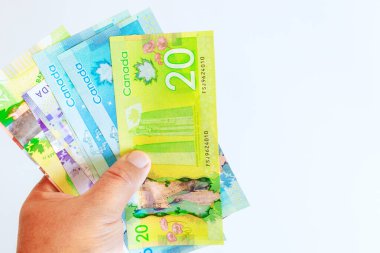 Çeşitli banknotlarda Kanada dolarları tutan kişinin eli.