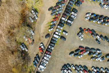 Geniş otopark, sıra sıra dizilmiş birçok farklı araçla dolu..