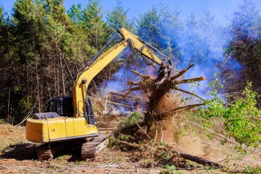 İnşaat alanında sökülmüş ağaçların yakılması çevresel sorunlar yaratıyor.