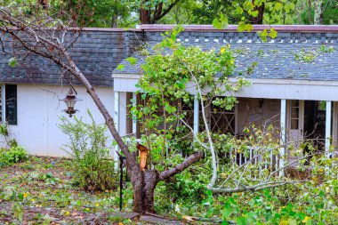 Large tree has fallen on house, damaging roof obstructing entrance in suburban neighborhood after recent hurricane storm. clipart