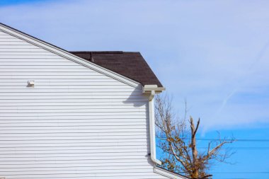 Bright white wooden house corner stands against sharp architectural lines nearby trees showcase hints clipart