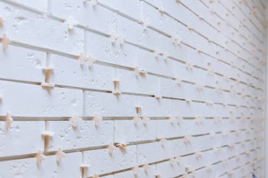 Yüzeye çıkmak için beyaz bir duvar hazırlanıyor. Eşit aralıklı ahşap uzay araçlarıyla minimalist bir tasarımı vurguluyor..