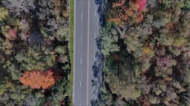 Neşeli sonbahar renkleri sessiz bir yol çerçevesi çiziyor, South River New Jersey ABD 'de sonbahar sezonu boyunca doğa güzelliğini gözler önüne seriyor.