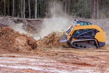 Ağır buldozer makineleri, ormanlık alandaki inşaat sahasında toz bulutları oluşturarak arazinin temizlenmesi için çalışır.