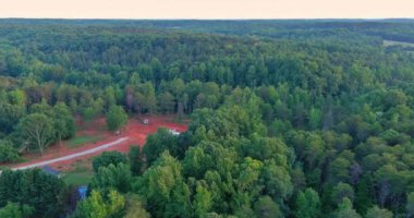 Yeşil ağaçlarla dolu canlı bir orman, kıvrımlı bir yol, yumuşak güneş ışığı altında açık bir mesafe..