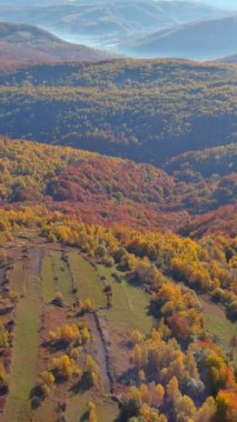 Renkli sonbahar yaprakları, battaniye dağları orman tepeleri, manzarayı kaplayan doğal yeşilliklerin hava manzarasını oluşturur.