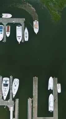 Birçok tekne marinada hizalanır, güneşli gökyüzünün altında sakin sulara yansıyarak insanların günün tadını çıkarırlar..