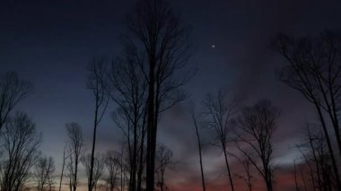 Siluetli ağaçlarla zaman turları, güneş doğarken gökyüzünün canlı renklerle aydınlanmasıyla dramatik bir ön plan oluşturur.