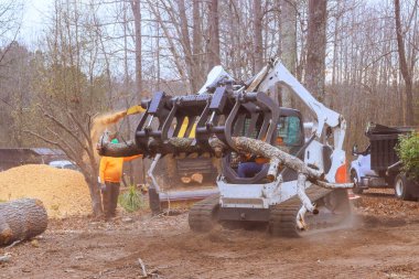 Ağır makineler, ormansızlaşma sırasında ormanlık alanda fırtına sonrasında büyük ağaç dallarını etkili bir şekilde ortadan kaldırır.
