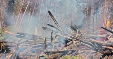 Orman yangınından yükselen dumanlar ağaçlık alanda kuru ahşap döküntüleri tüketiyor.